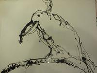 IMG_3412.jpg
