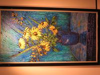 IMG_2125.jpg