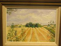 IMG_2448.jpg