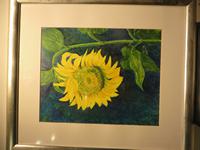IMG_2349.jpg